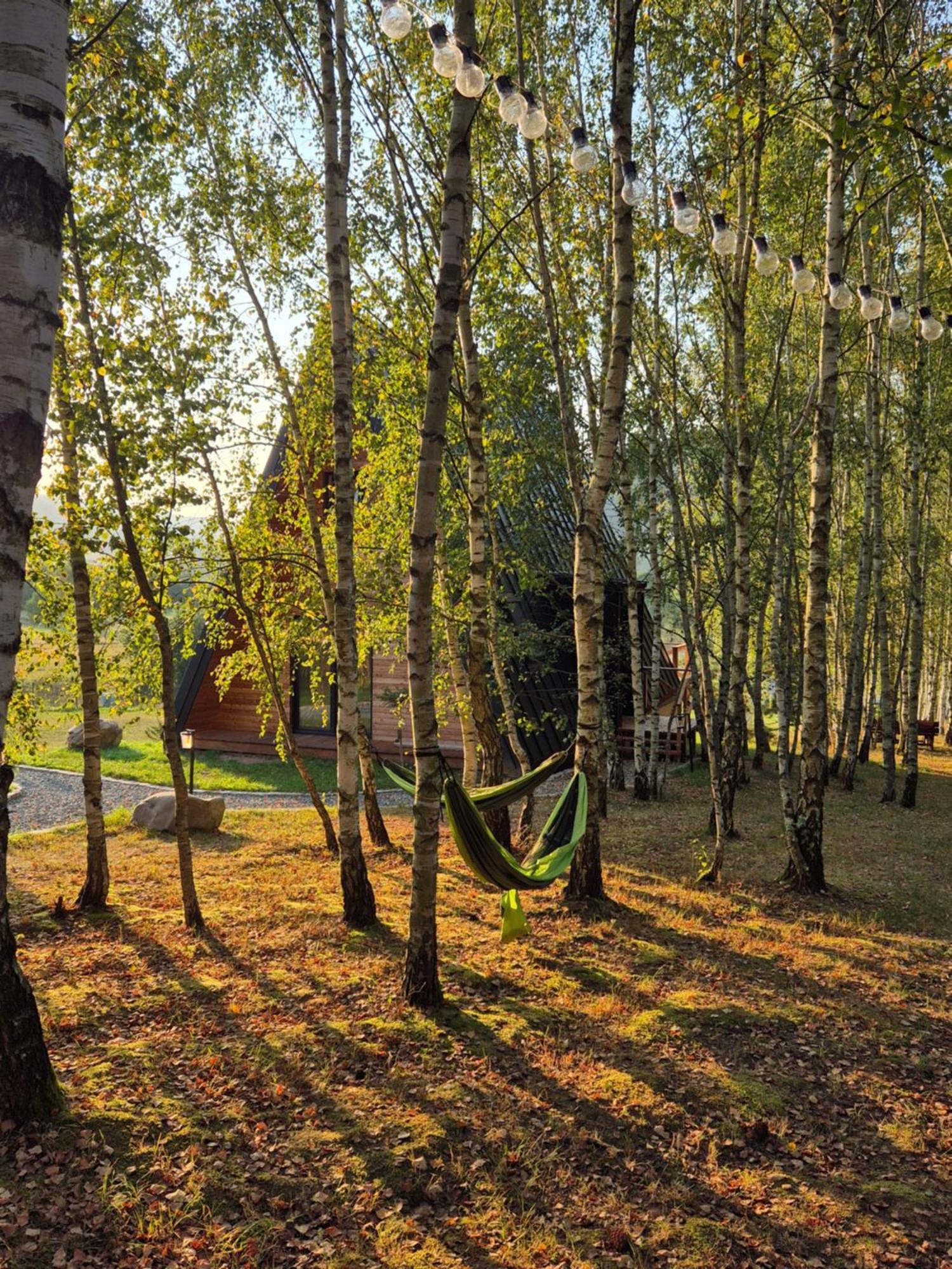 Brda Na Skraju Lasu Вамбежице Экстерьер фото